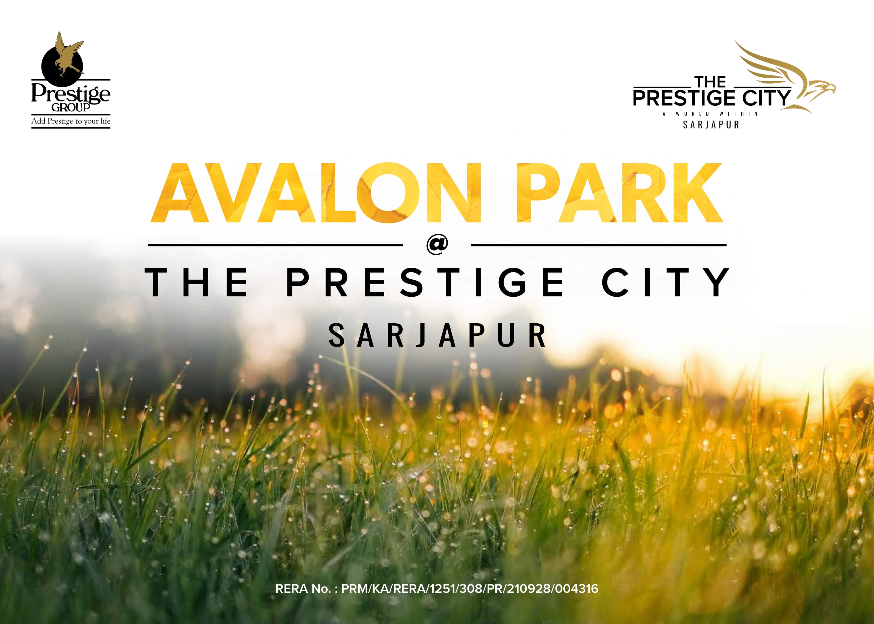 prestigecityavalonpark